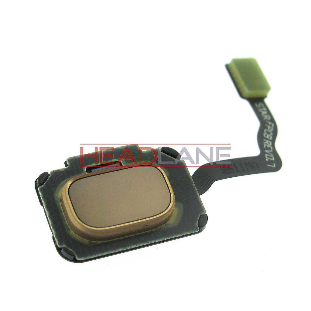 Samsung SM-G960F / SM-G965F Galaxy S9/S9+ Home Key / Button -  Gold